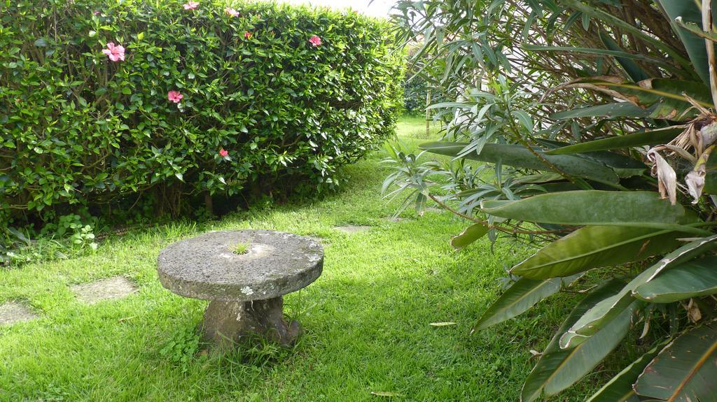 Azores Garden House - Private Suites & Apartments - Automatic Self Check-In Ponta Delgada  Bagian luar foto