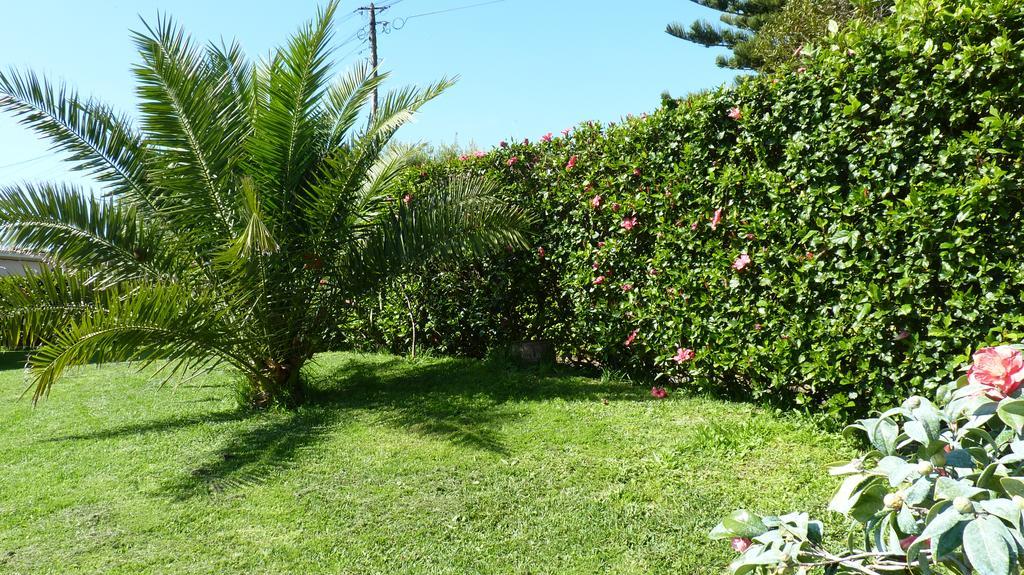 Azores Garden House - Private Suites & Apartments - Automatic Self Check-In Ponta Delgada  Bagian luar foto